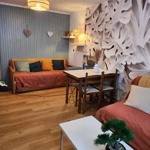 6 Couchages Pied De Pistes , La Mongie France